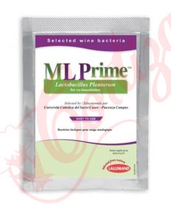 ML Prime